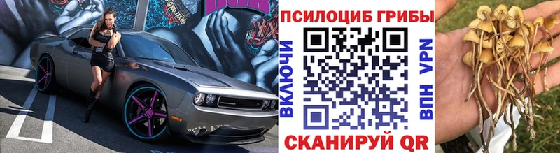 кракен зеркало  цены   Чухлома  Галлюциногенные грибы мухоморы 